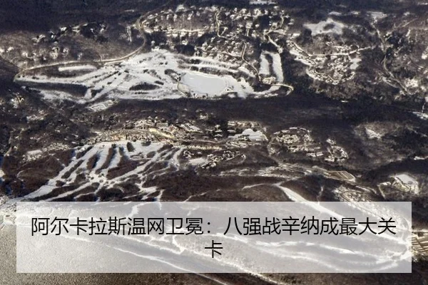 a-er-ka-la-si-wen-wang-wei-mian-ba-qiang-zhan-xin-na-cheng-zui-da-guan-ka-2-487.jpg