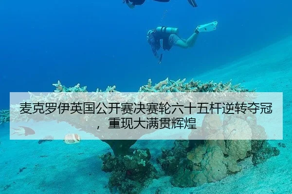 麦克罗伊英国公开赛决赛轮六十五杆逆转夺冠，重现大满贯辉煌