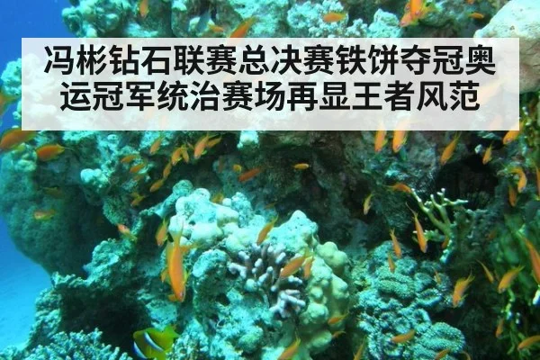冯彬钻石联赛总决赛铁饼夺冠奥运冠军统治赛场再显王者风范